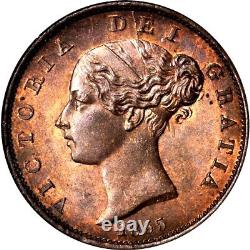 1855 Great Britain 1/2 Penny, NGC MS 66 RB, None Finer @ NGC & PCGS, Red Brown