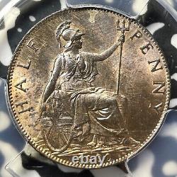 1900 Great Britain 1/2 Half Penny PCGS MS64RB Lot#G7833 Choice UNC! S-3962