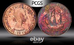 1953 Great Britain 1/2 Penny PCGS Super Rare (NSFW) Toned Shape