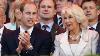 How Prince William Allegedly Feels About Camilla Becoming Queen