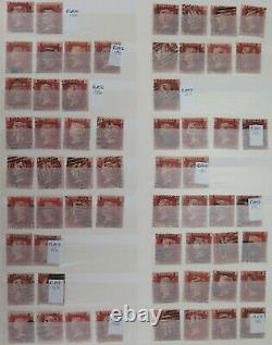 QV 1864 1d Penny Red plates SG43 SG44 collection. 762 stamps. Huge cat value