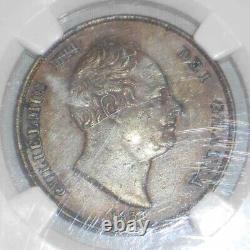 Belle pièce de cuivre tonique de 1831 Grande-Bretagne One Penny King William IV NGC XF45 BN