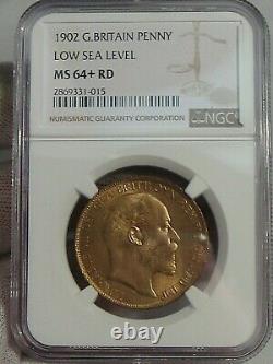 Bu Red 1902 Low Sea Level Penny Grande-bretagne Ngc Ms64+rd Seulement 3 Graded Higher