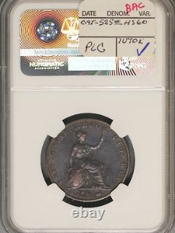 Grande-Bretagne 1847 1/2 Penny K-726 NGC AU DÉTAILS Lignes de cheveux de surface