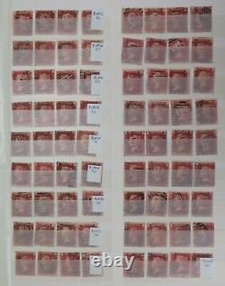 Qv 1864 1d Penny Plaques Rouges Sg43 Sg44 Collection. 762 Timbres. Énorme Valeur Du Chat