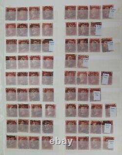 Qv 1864 1d Penny Plaques Rouges Sg43 Sg44 Collection. 762 Timbres. Énorme Valeur Du Chat